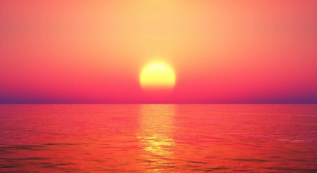 Full Search Sunset