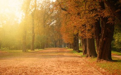 Five Ways to Explore Wisconsin’s Great Outdoors in the Fall