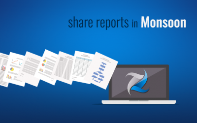 Viewing and Sharing Monsoon Reports