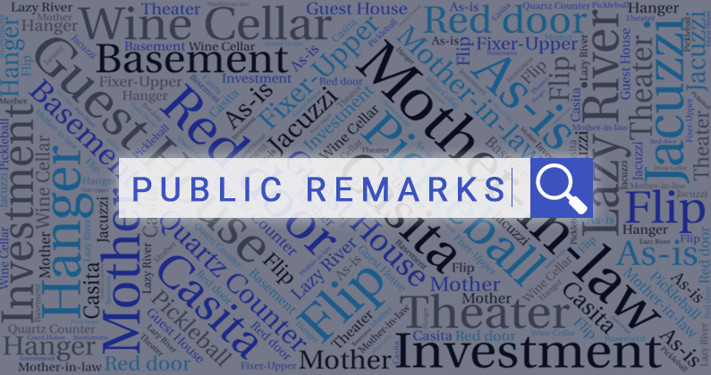 Public Remarks