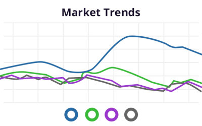 Generating Statistics and Market Trend Reports