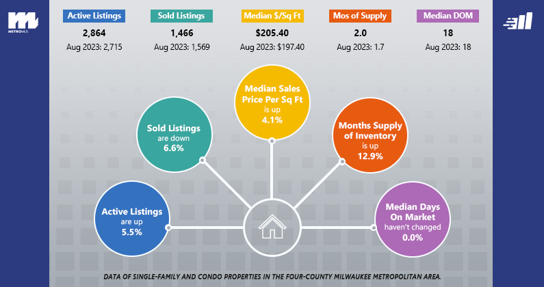 Market Reports August 2024